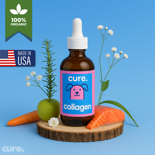 Liquid Collagen for Dogs