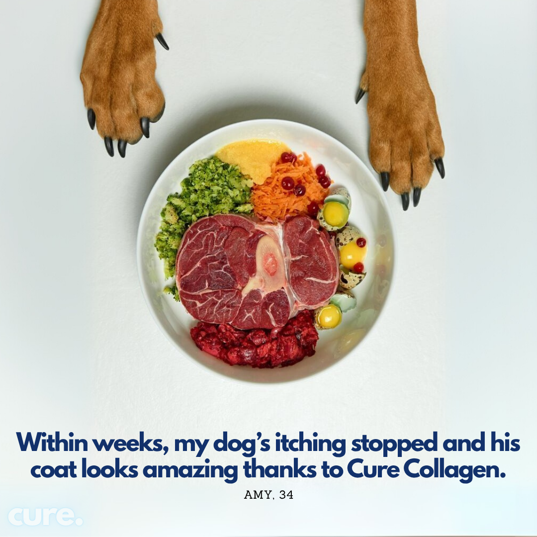 Liquid Collagen for Dogs