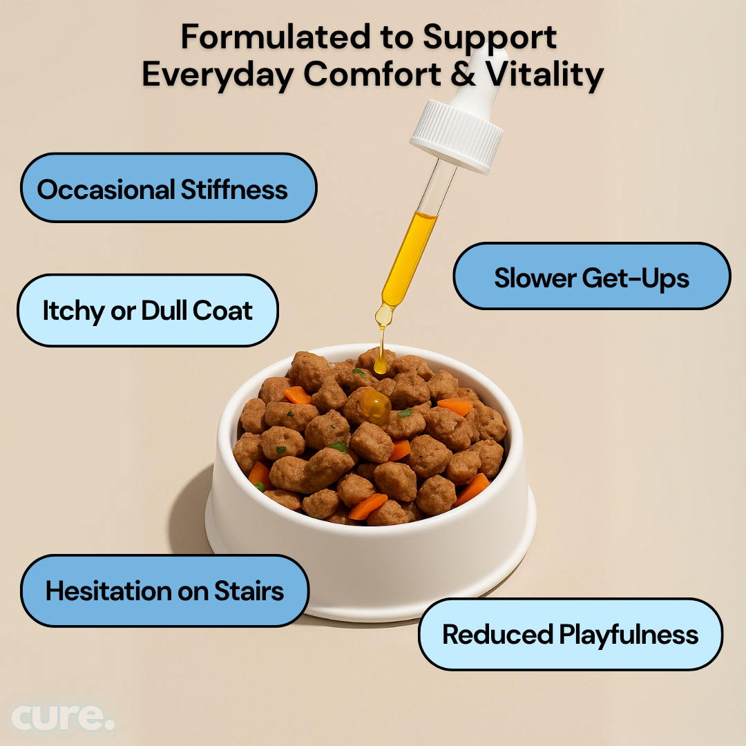 Liquid Collagen for Dogs