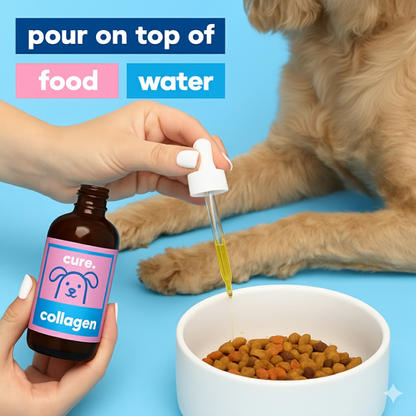 Liquid Collagen for Dogs