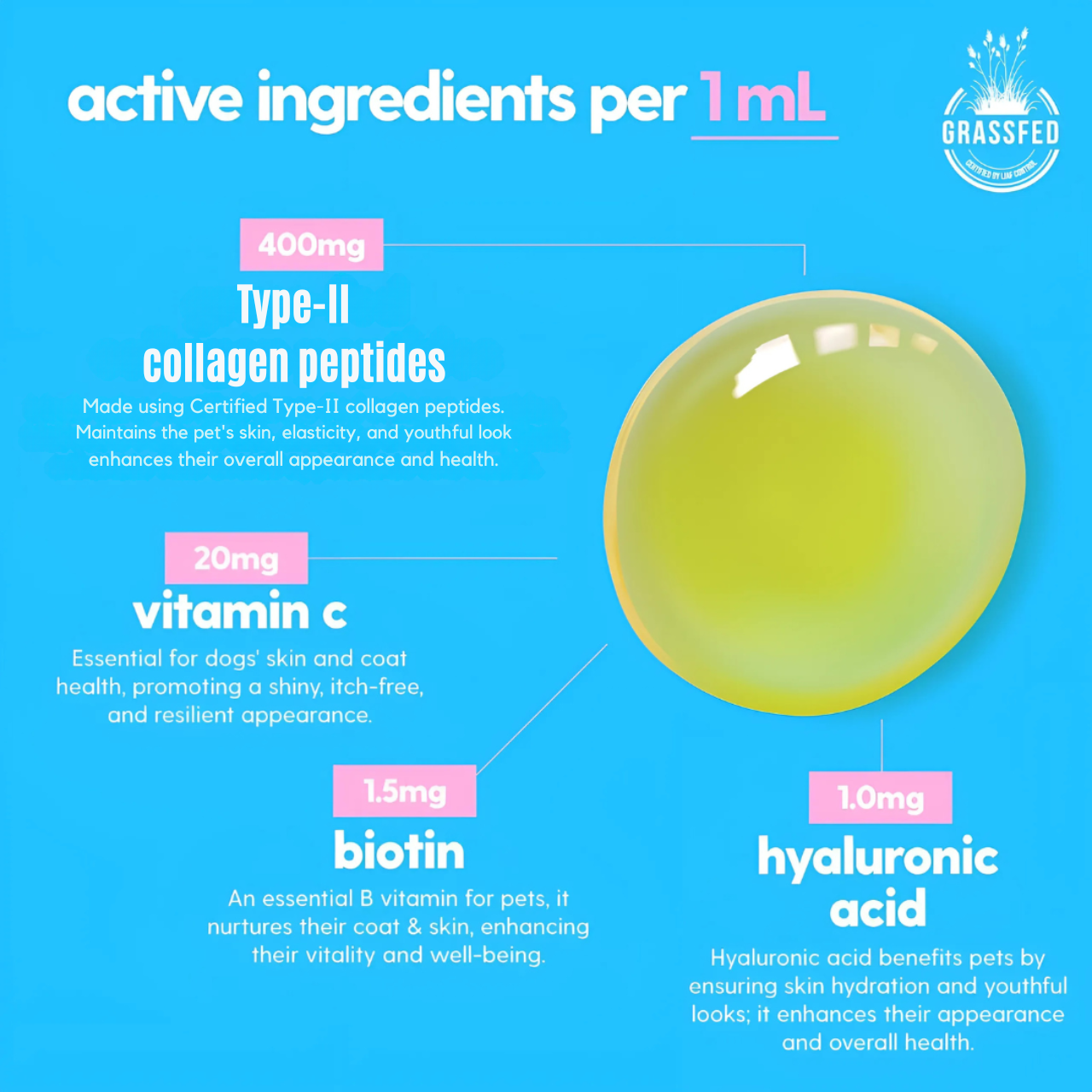 Liquid Collagen for Dogs