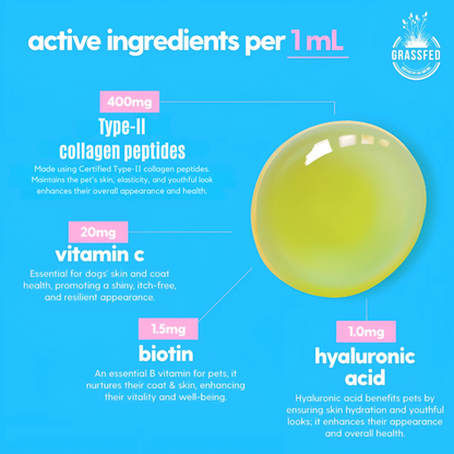 Liquid Collagen for Dogs